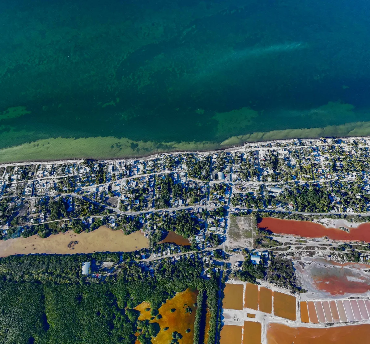 San Crisanto, Yucatán: un destino natural en la costa que redefine la tranquilidad