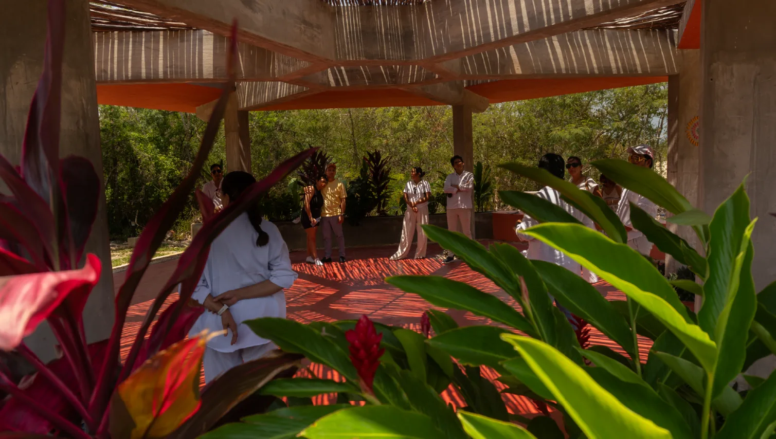 Parque Makulis y Parque Tortuga: espacios para convivir con la naturaleza