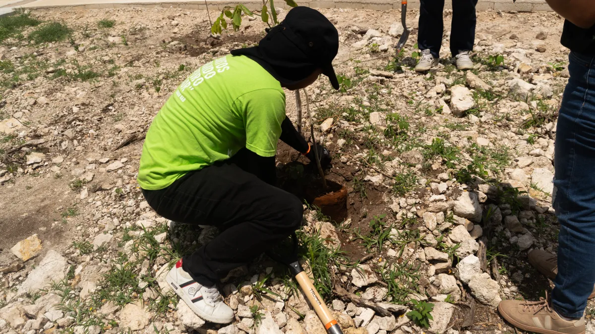Sembrar un árbol es sembrar el futuro: así vivimos nuestra Campaña de Reforestación EcoKomunidad